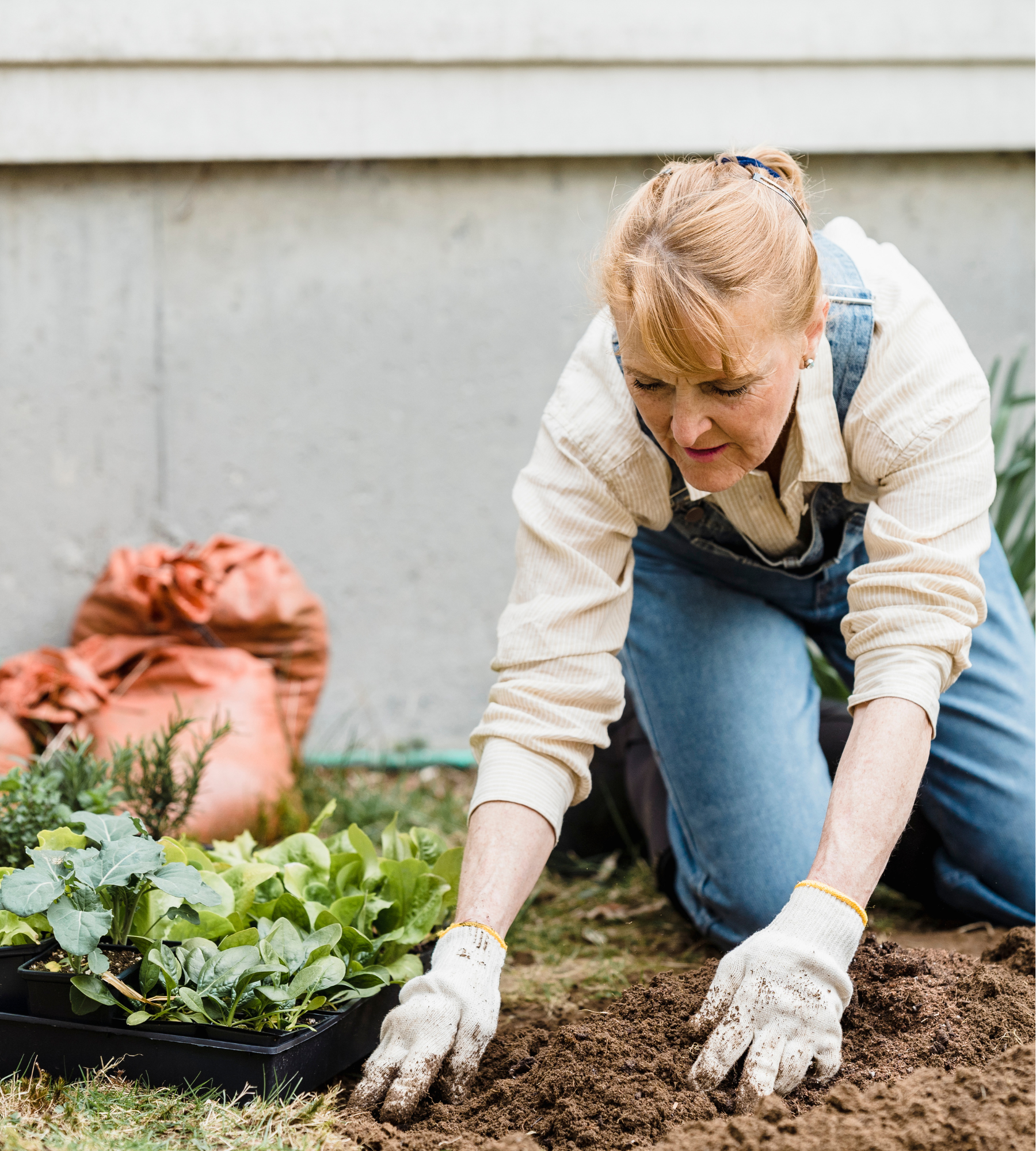 3. Gardening helps heart health