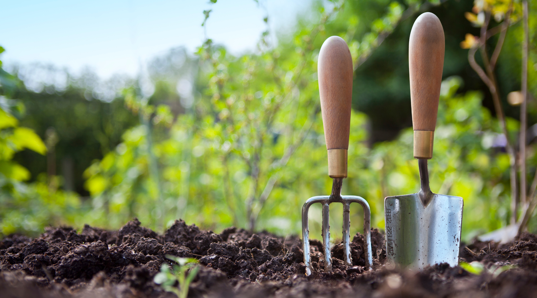 7 REASONS TO TRY YOUR HAND AT GARDENING