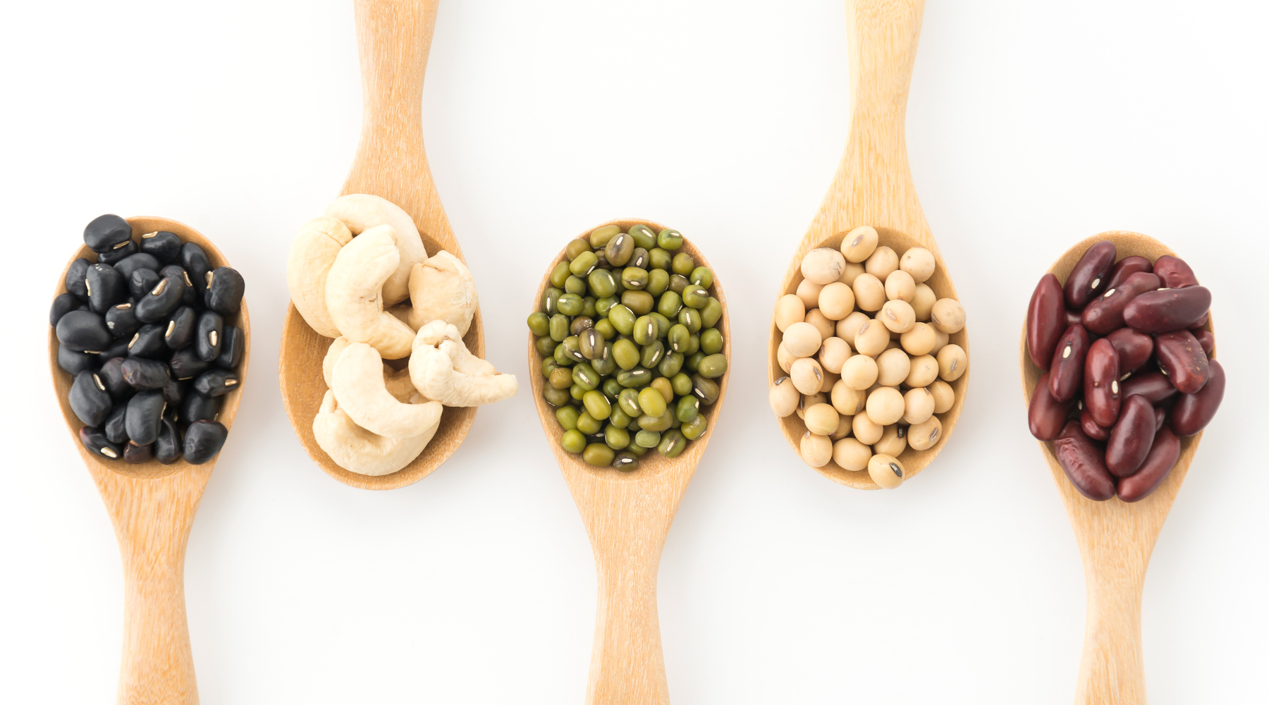 THE BEST VEGAN PROTEIN SOURCES TO GET ALL THE PROTEIN YOU NEED