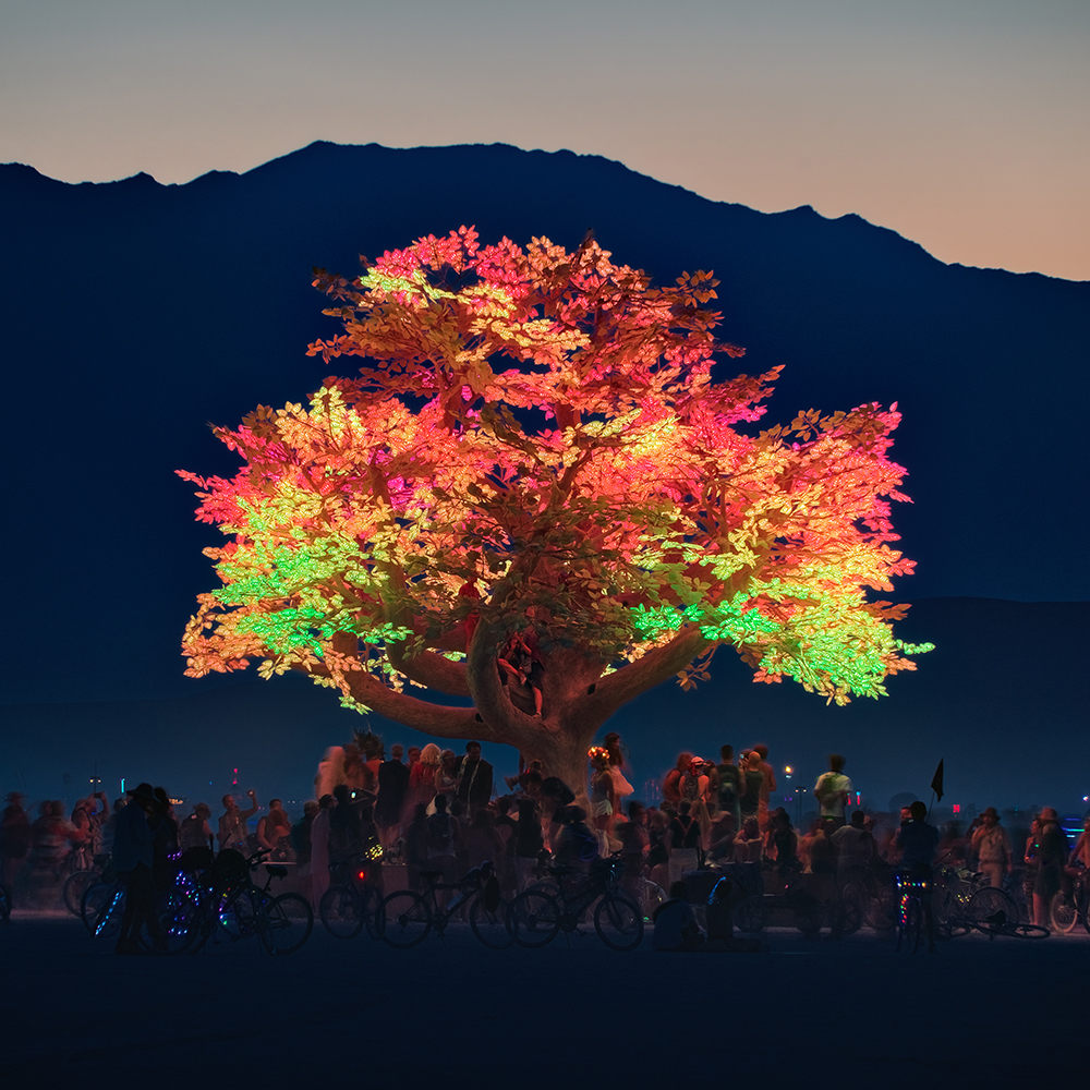 DRIFT: Tree of Ténéré (2017) for Burning Man Festival, Black Rock Desert, 2017. Photos courtesy of DRIFT