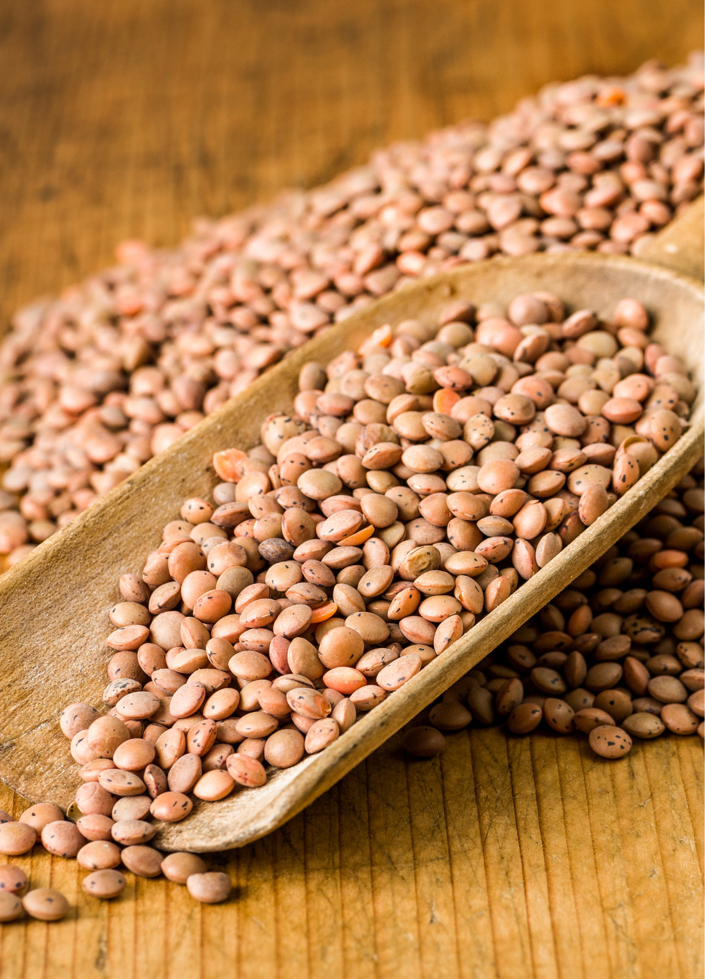 brown lentils