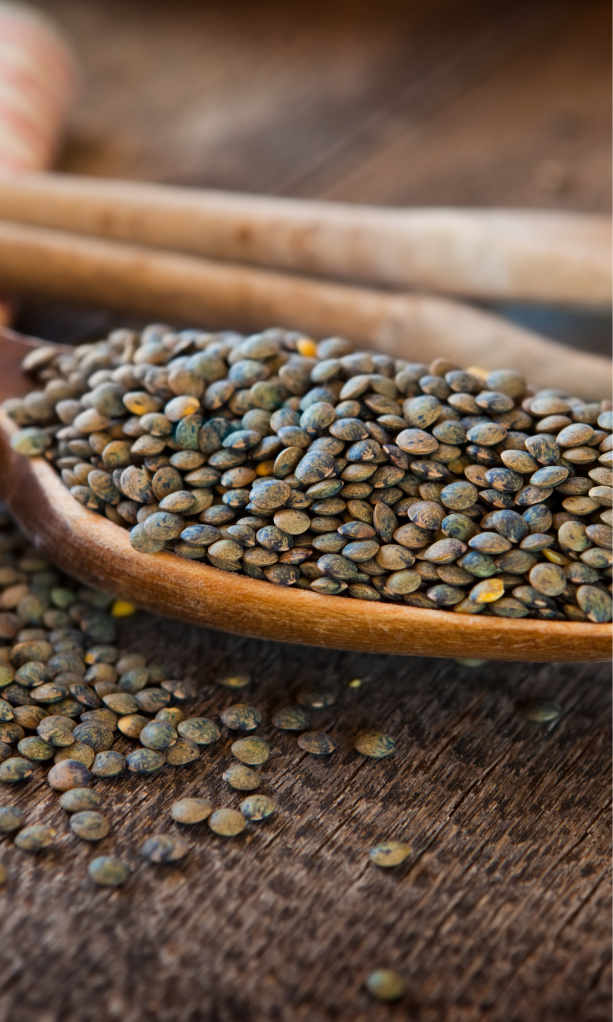 french lentils