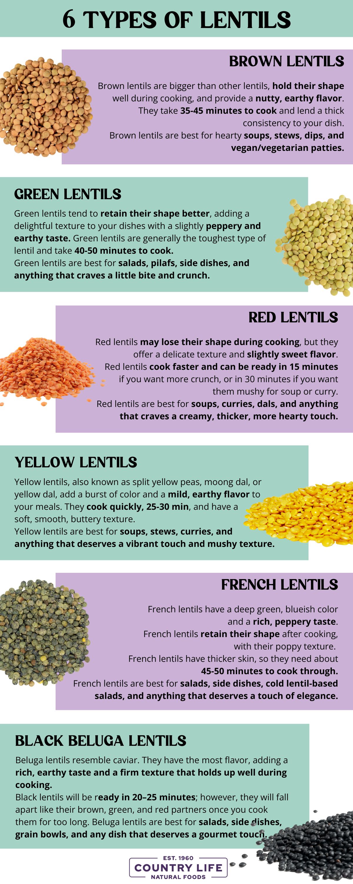 KEY TAKEAWAYS: 6 TYPES OF LENTILS