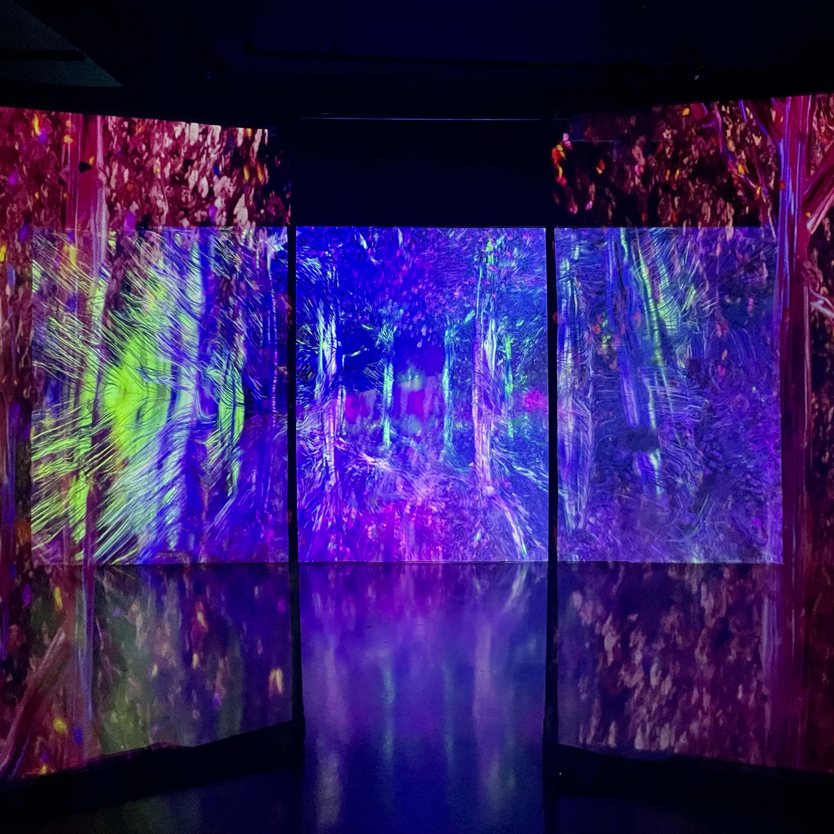 Experience the audiovisual exhibit “PIXELBLOOM” at ARTECHOUSE DC.