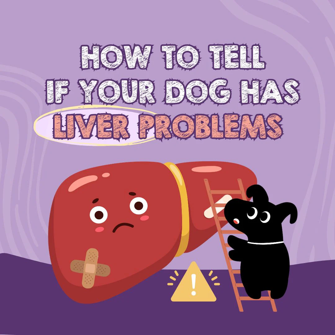 Educational infographic illustration: 