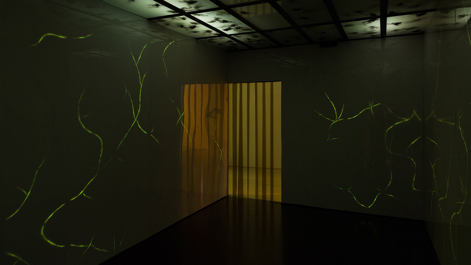 Installation view of “Dreamlands: Immersive Cinema and Art, 1905-2016” (Whitney Museum of American Art, New York, October 28, 2016-February 5, 2017). Dora Budor, Adaption of an Instrument. Courtesy of the artist © 2016


