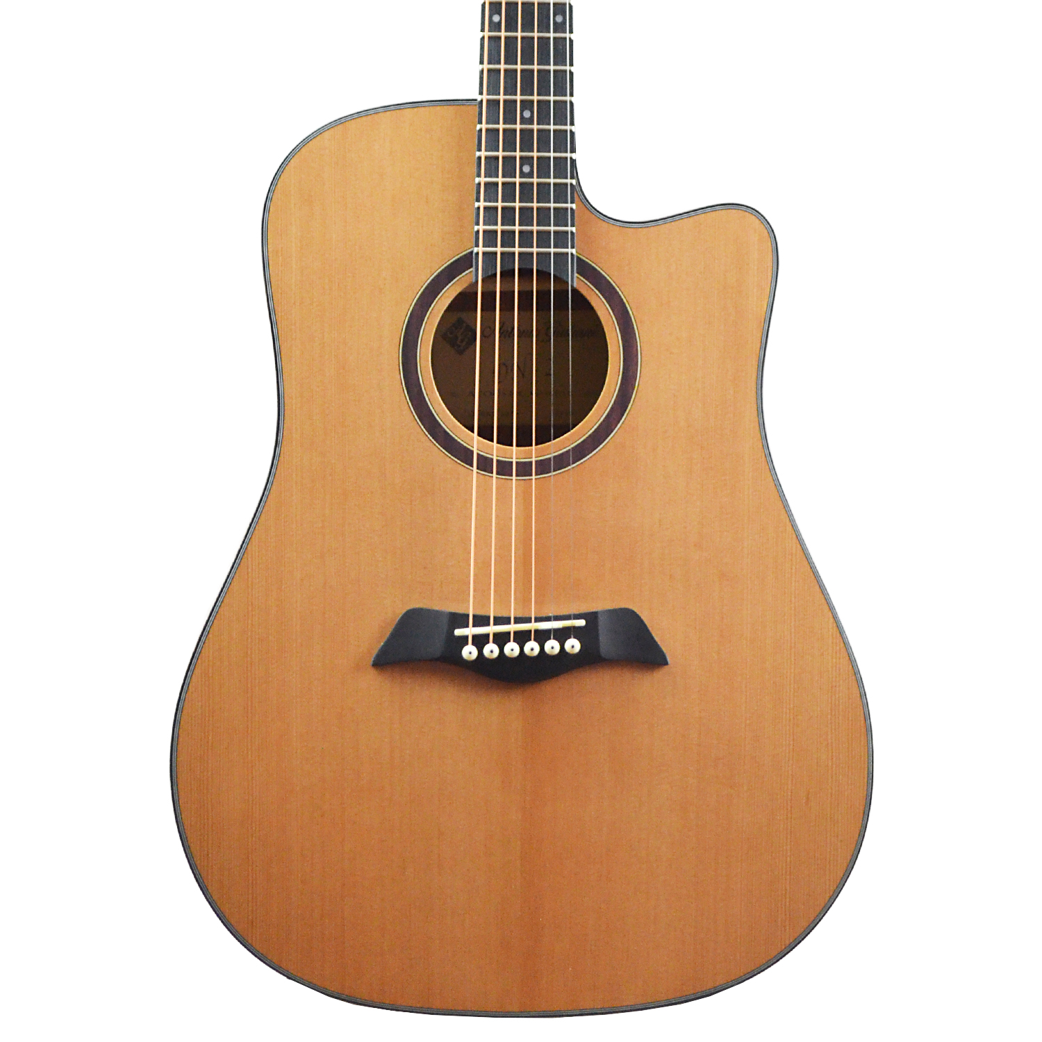 CLEARANCE Antonio Giuliani DN-2 Dreadnought Cutaway Acoustic Guitar Outfit in action
