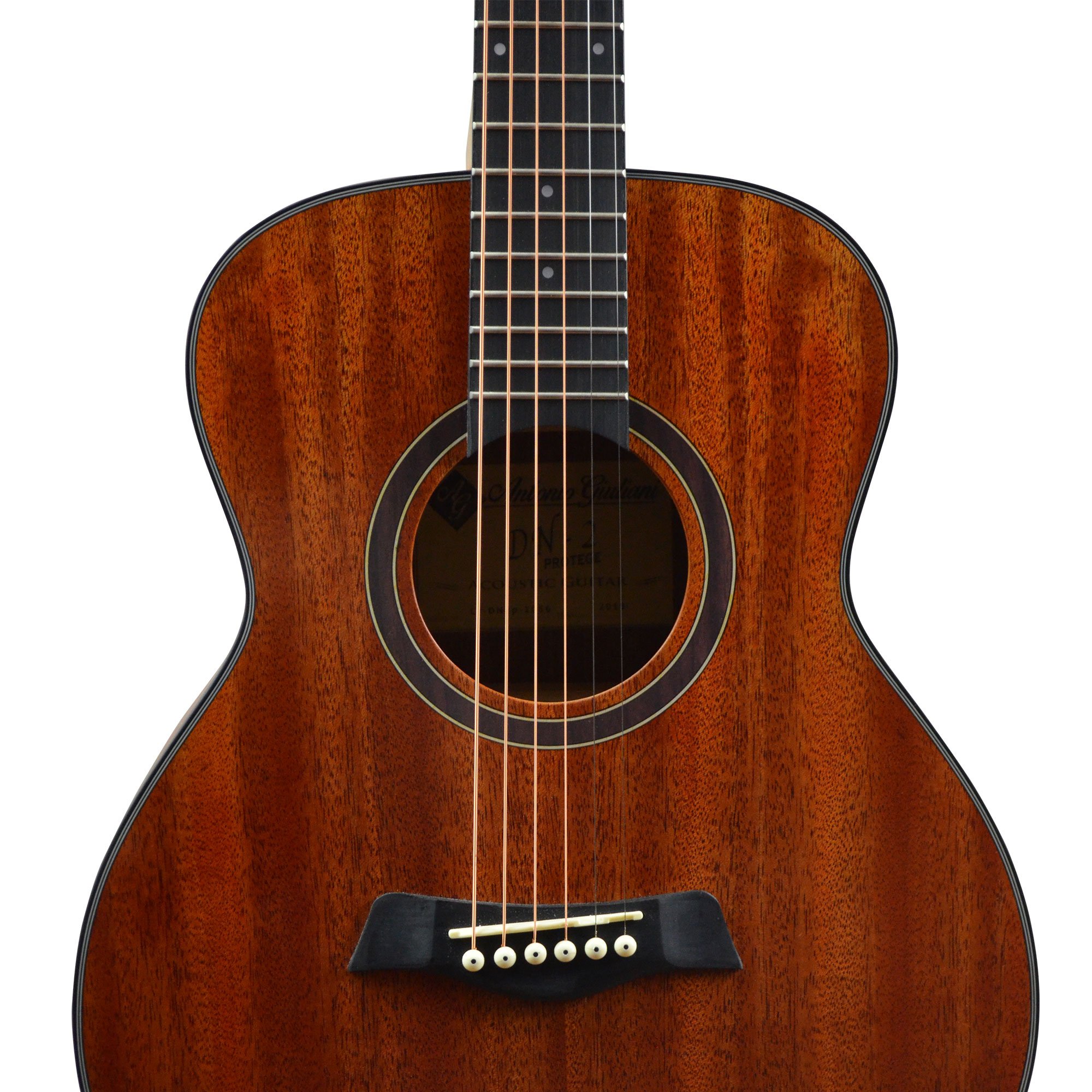 CLEARANCE Antonio Giuliani DN-2P Protégé Short Scale Acoustic Guitar Outfit in action