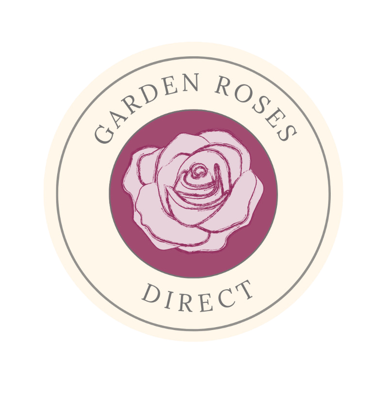 Click here to learn more about our sponsor, Garden Roses Direct.