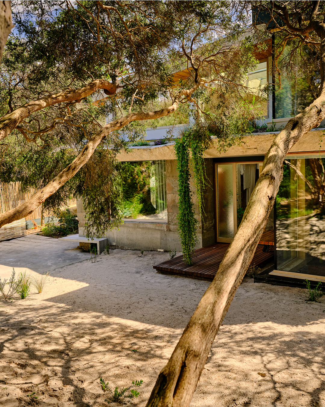 Project Feature: Cave House