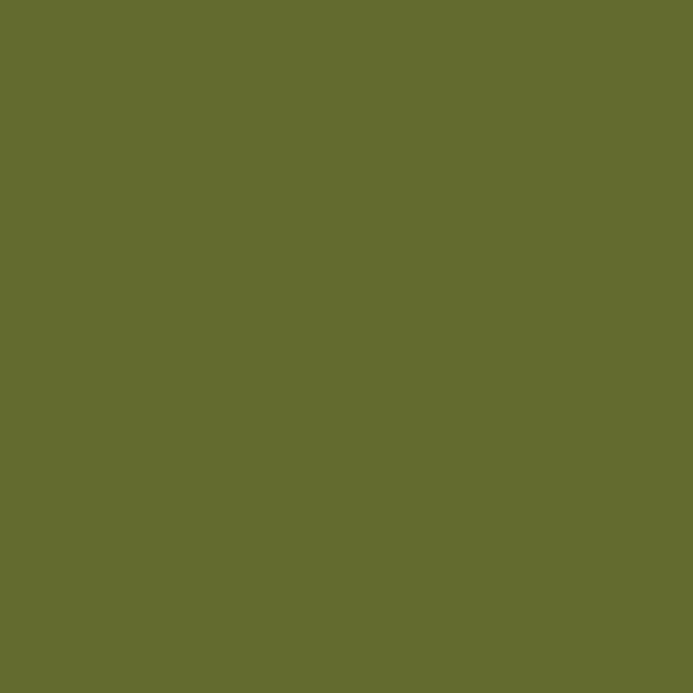  Fall Wedding Color Palette - Olive Green