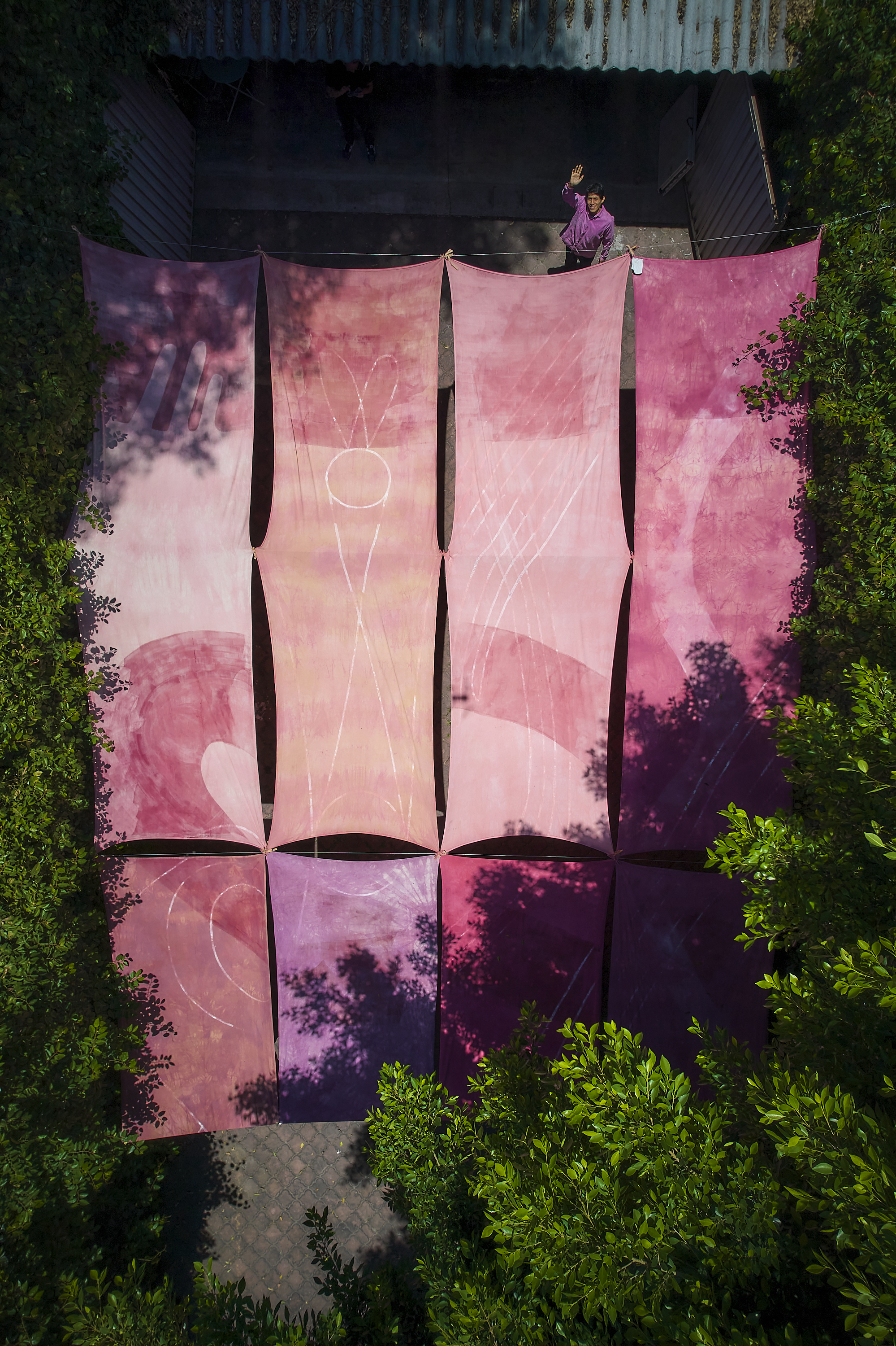 Meet the Artists — An interview with Celeste – Canopy
