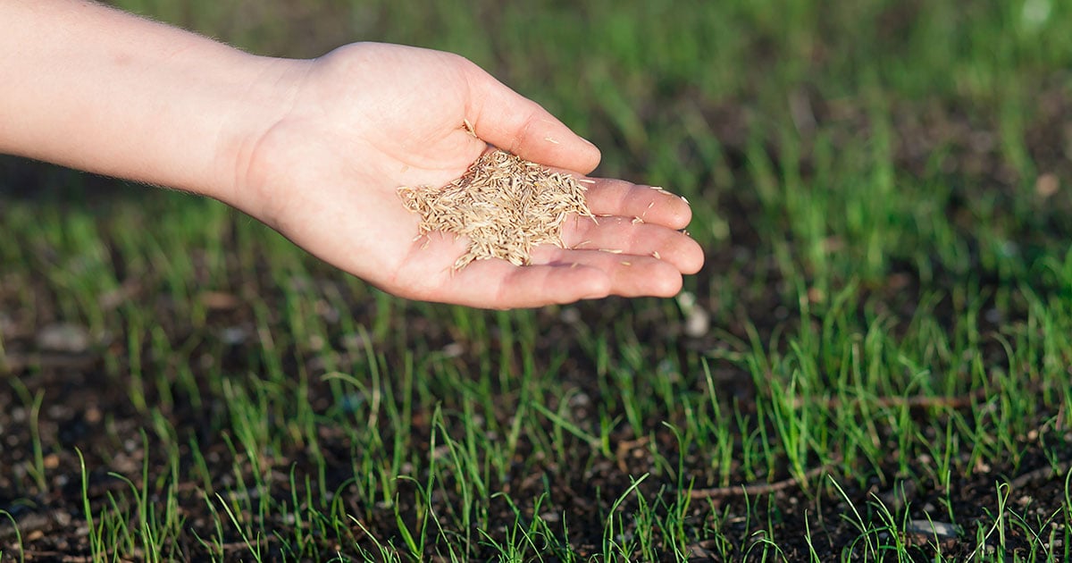 Lesco Lawn Products - PlantingTree