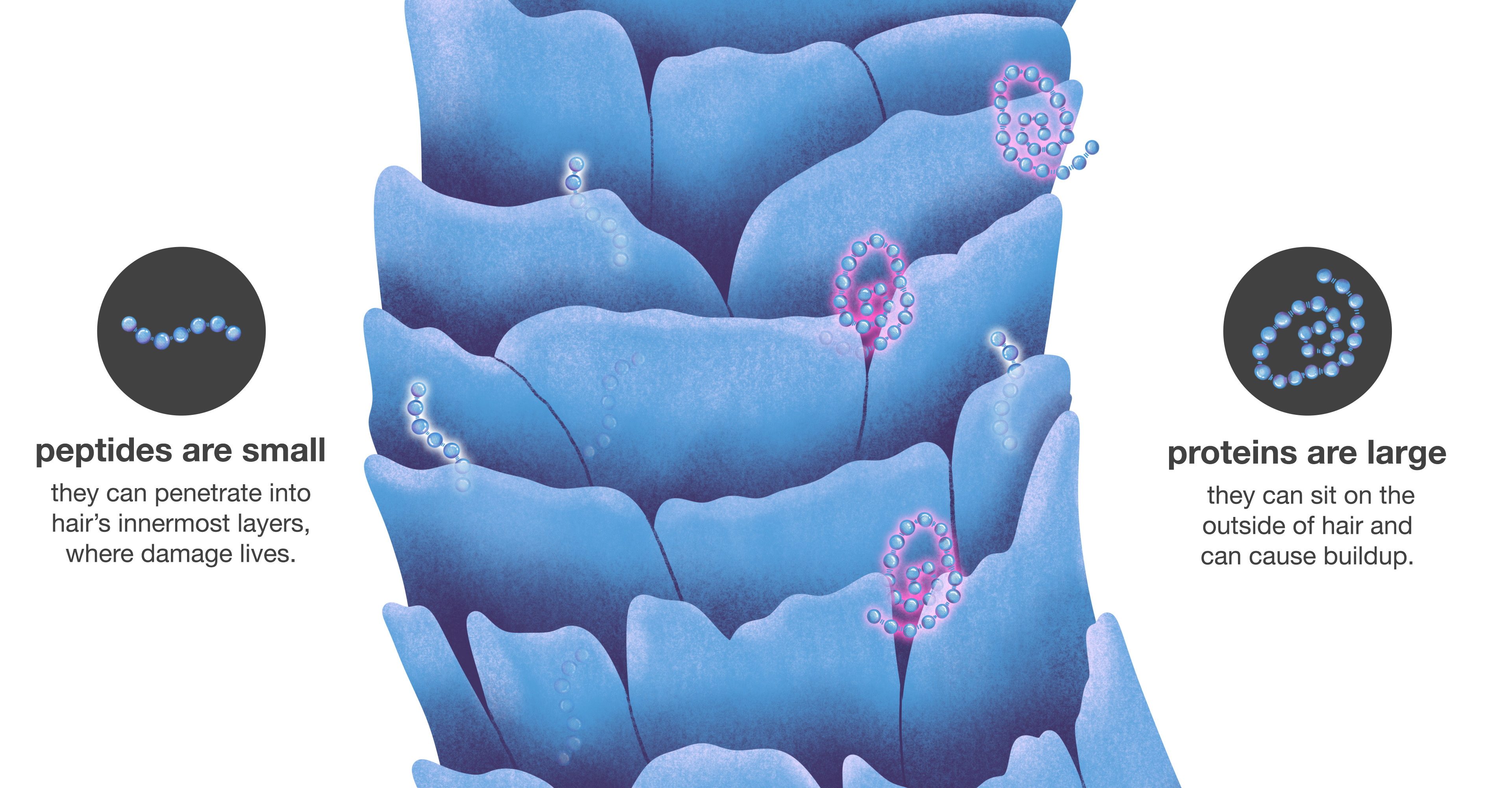 Wait, What's a Bond? And What Does Molecular Mean?