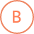 B Corp
