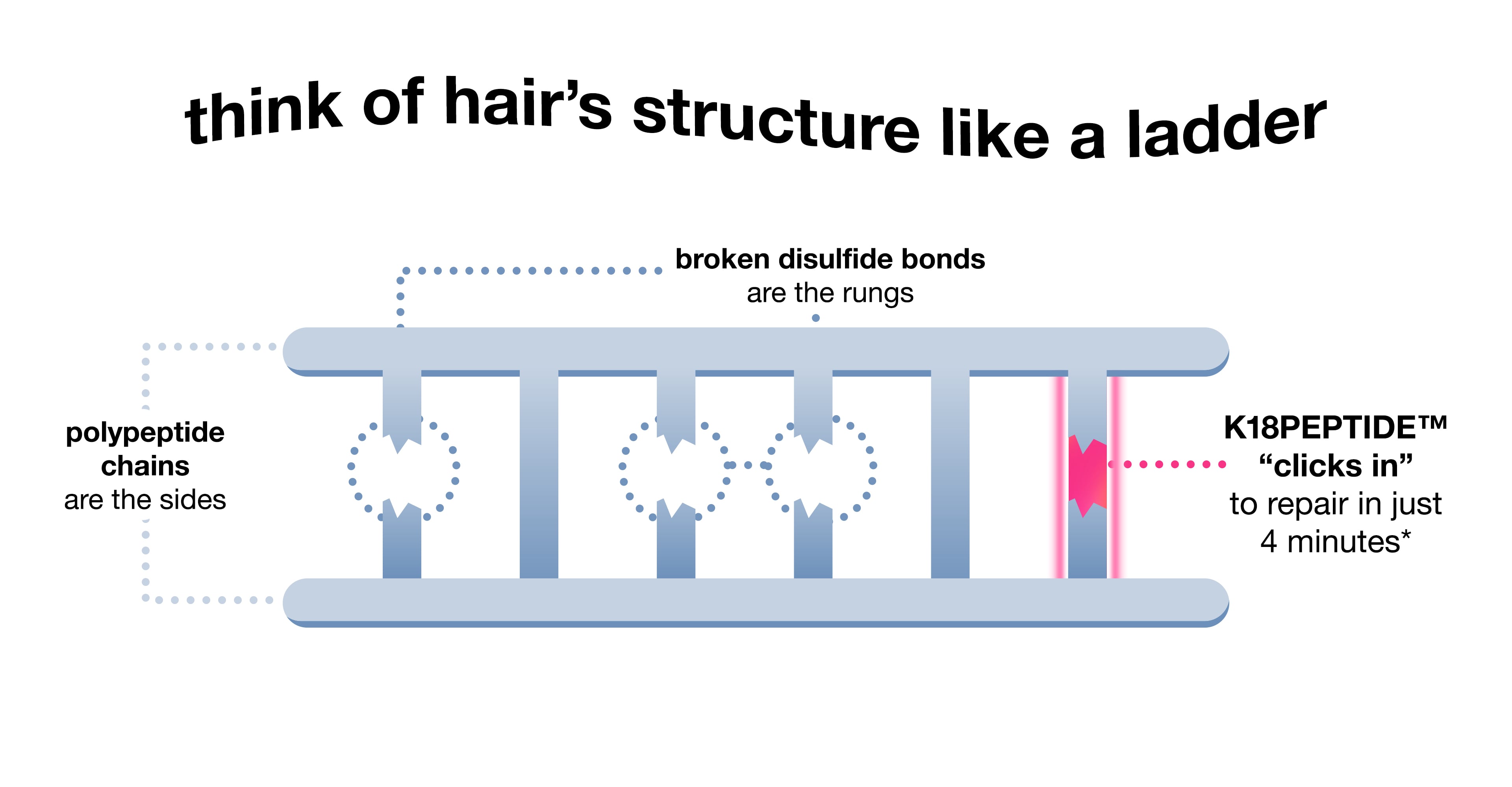 what does it mean to “click in” to hair’s keratin structure?