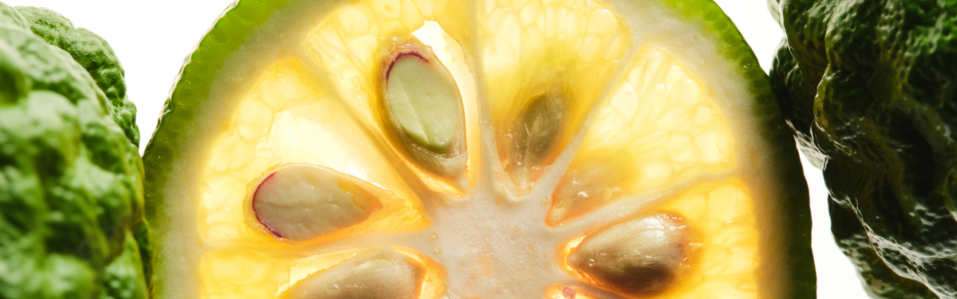 Beyond One Number: A Science-Based Look at Citrus Bergamot and Aged Black Garlic for Cholesterol Health
