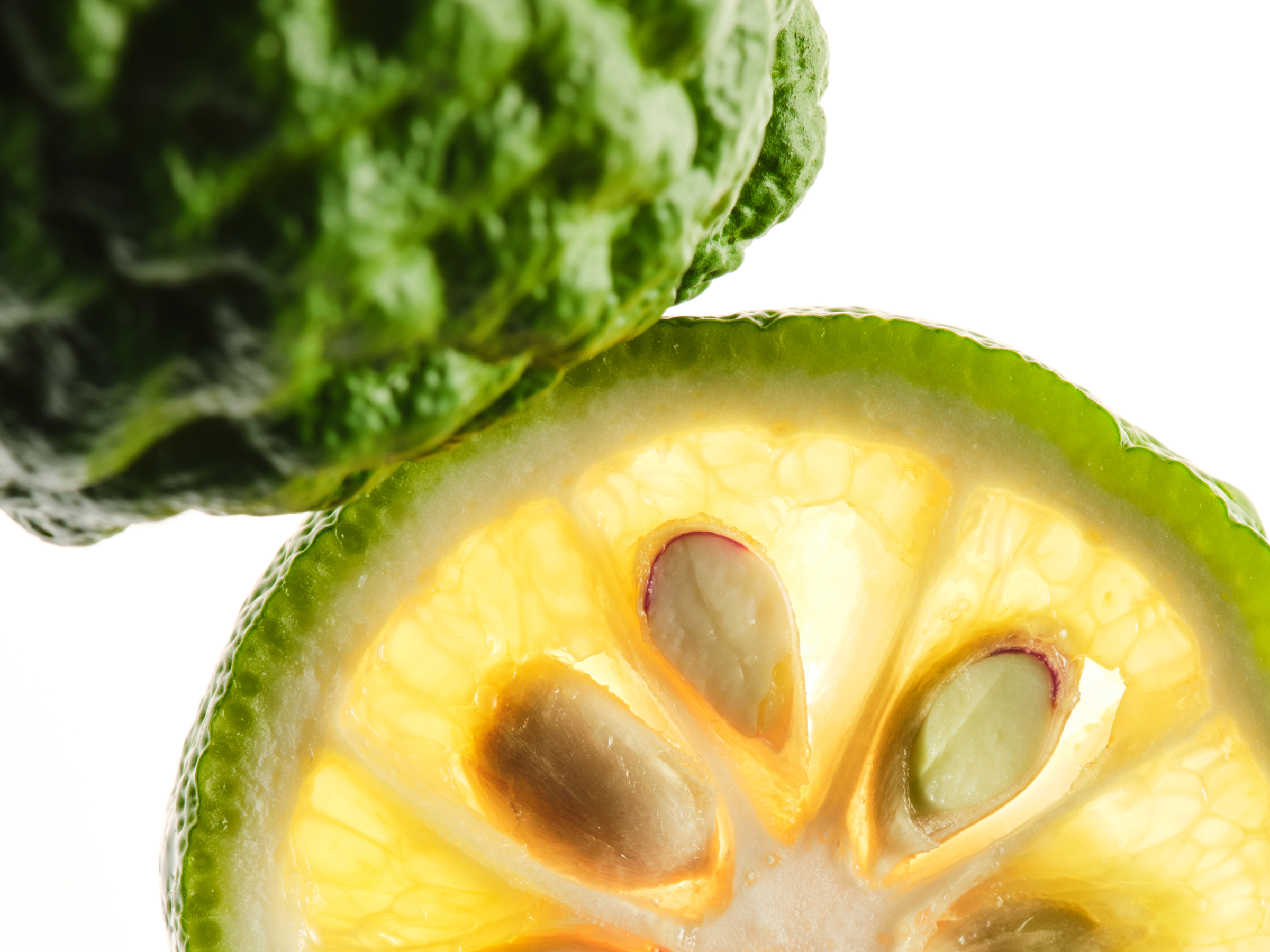 Beyond One Number: A Science-Based Look at Citrus Bergamot and Aged Black Garlic for Cholesterol Health