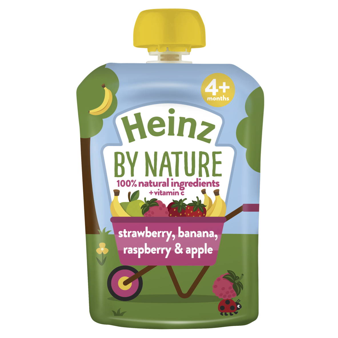 Photograph of 6x Heinz Strawberry Raspberry & Banana Fruit Pouch 100g product