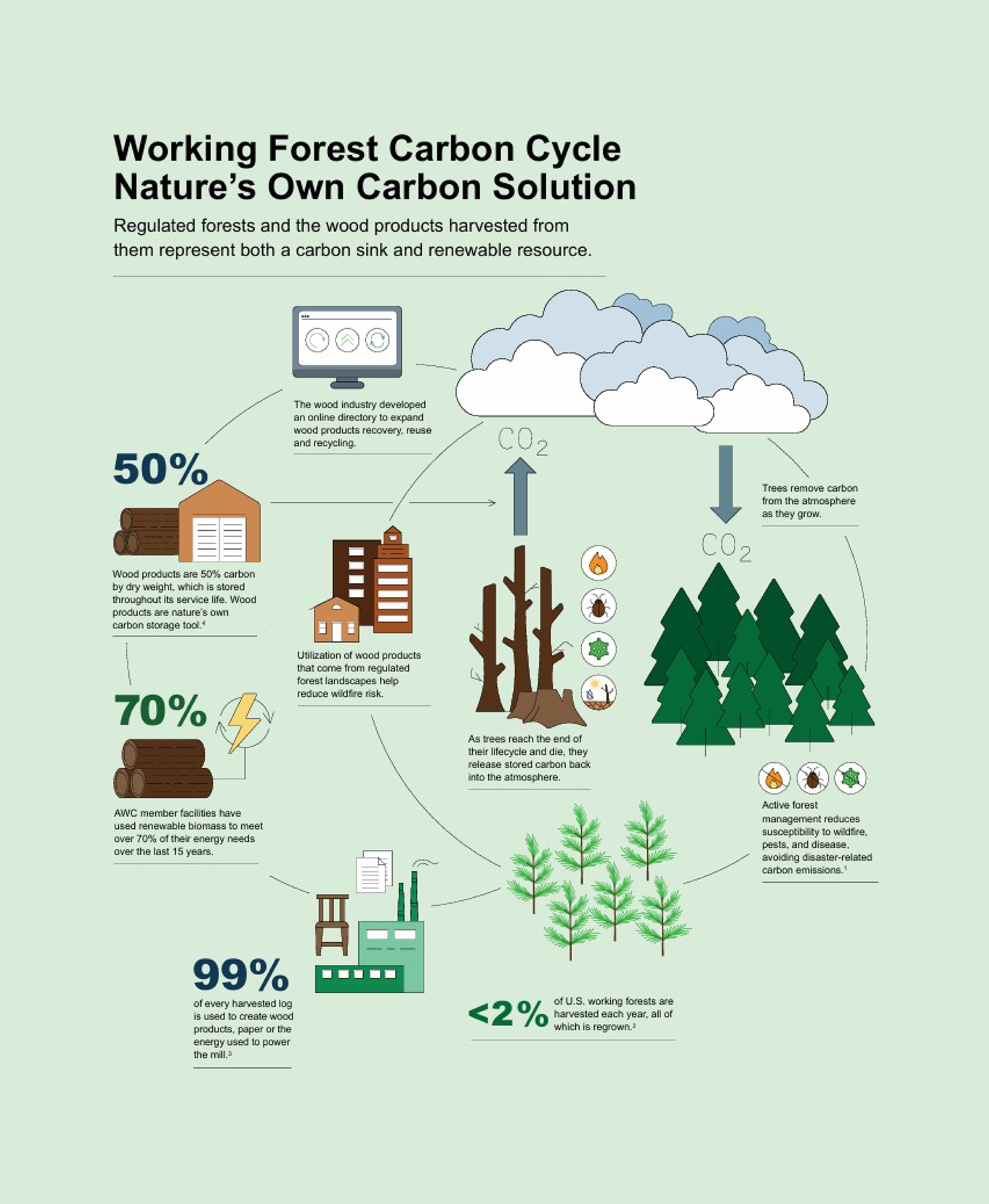 Eco-friendly materials used in flooring