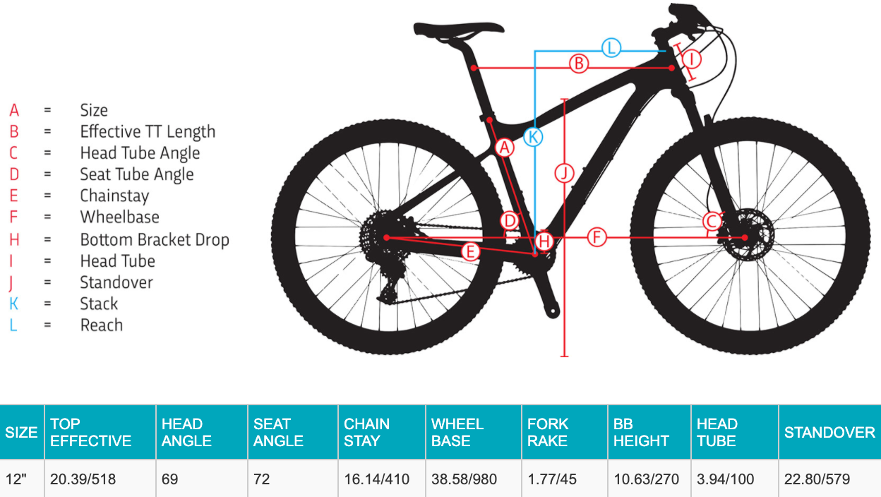 X 24 Disc Sports Basement