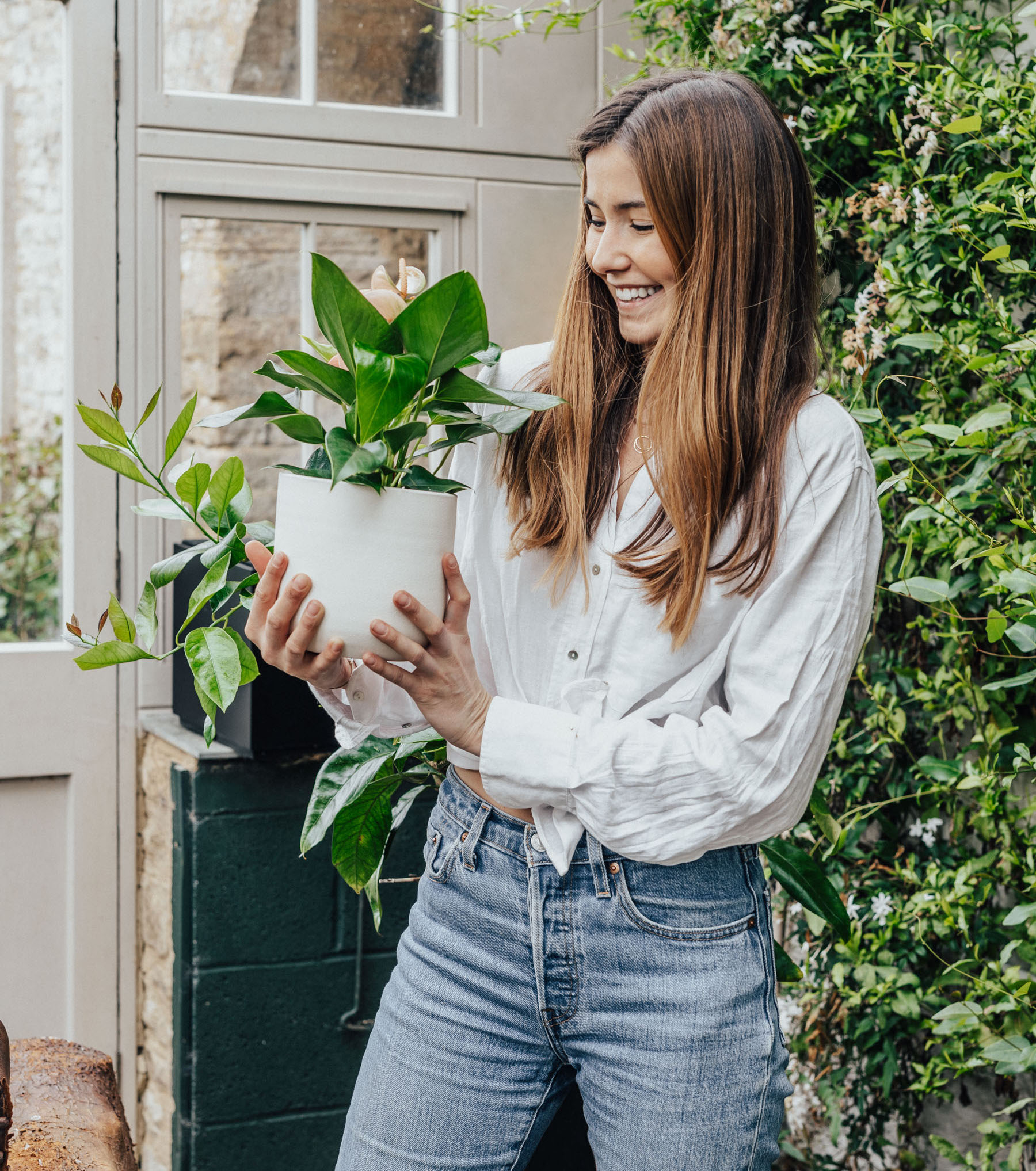 Harness the Power of Plants this 2022  Indoor plants delivery by Leaf Envy