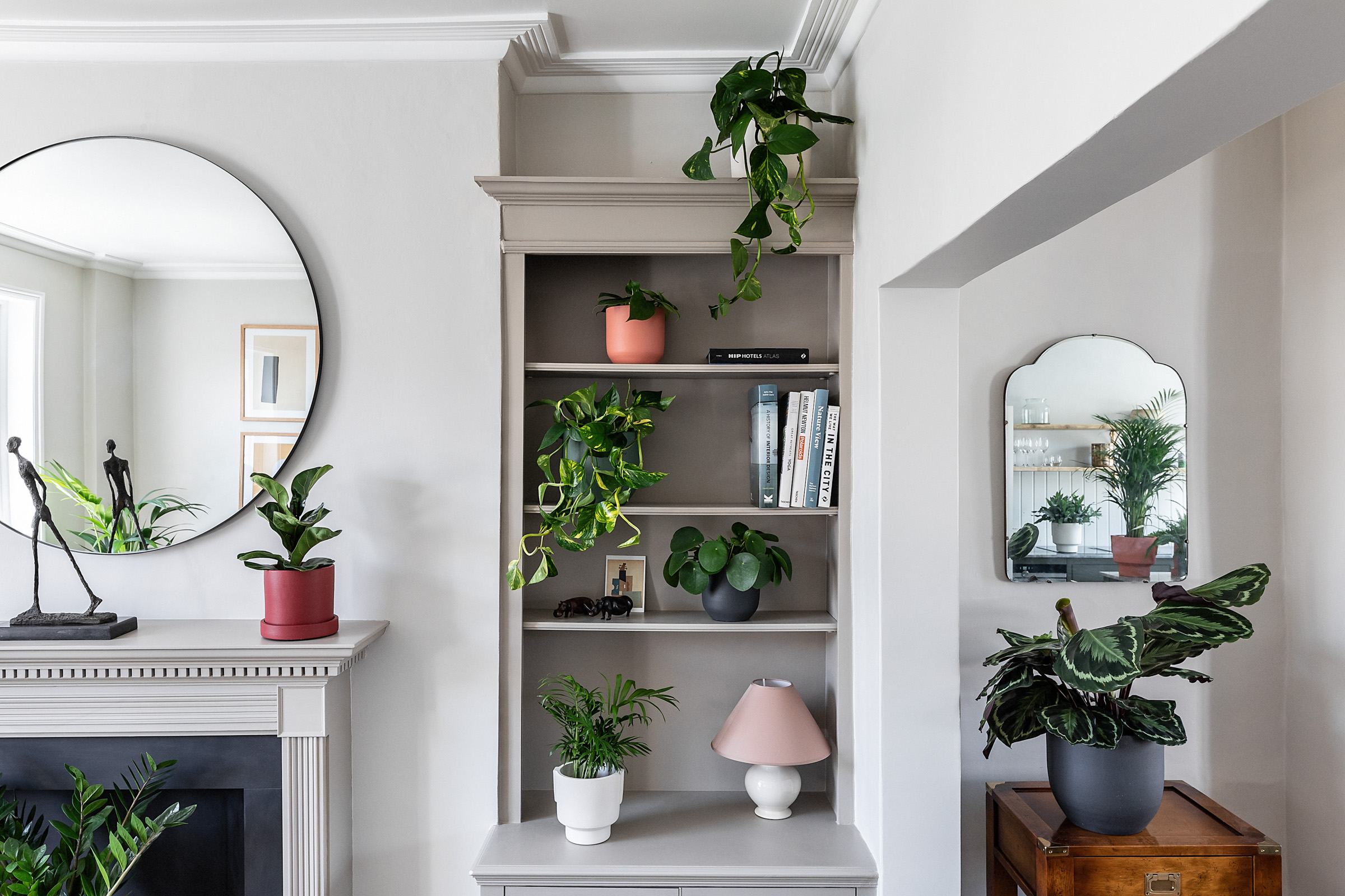 How to Move House with House Plants  Indoor plants delivery by Leaf Envy