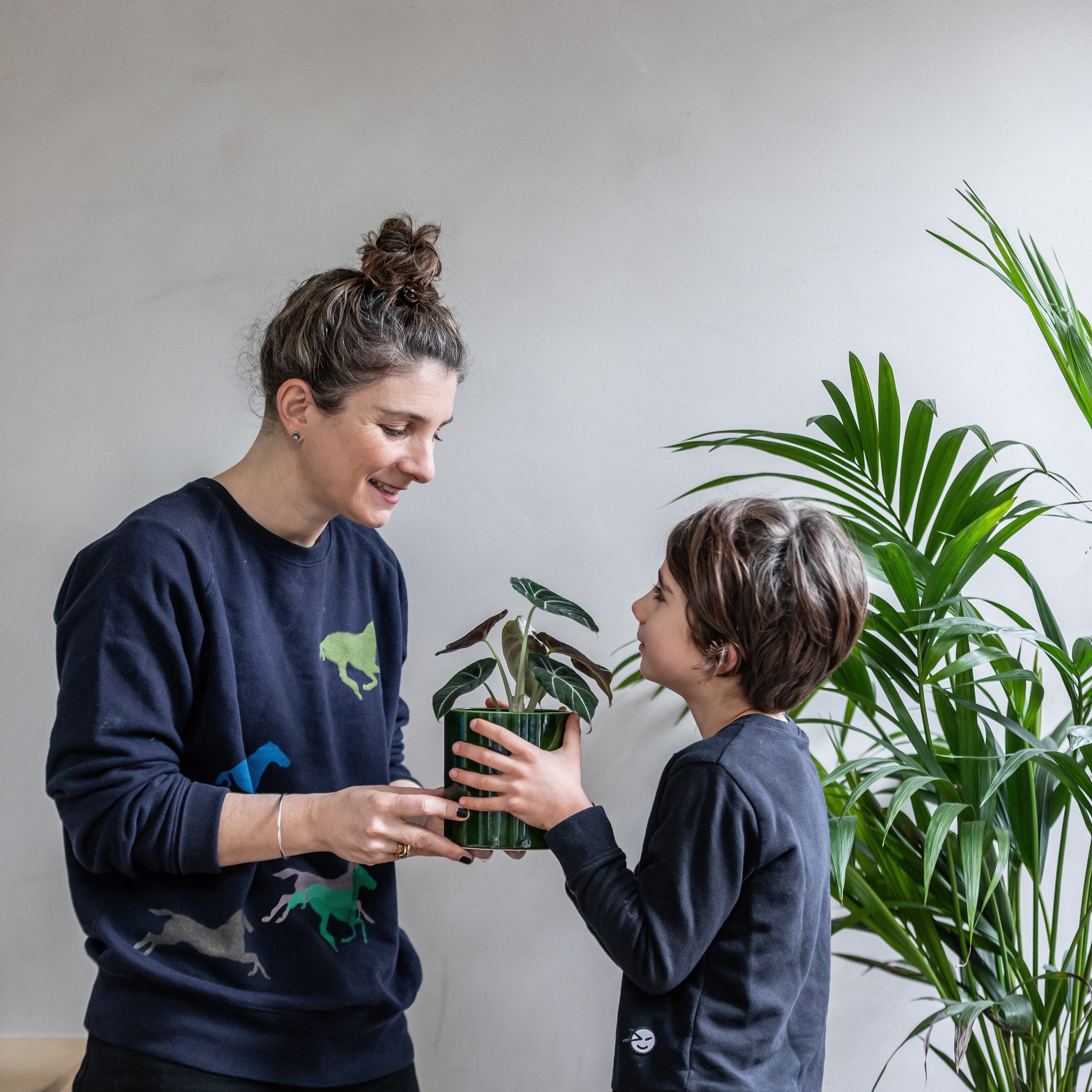 Mother's Day Gifting  Indoor plants delivery by Leaf Envy