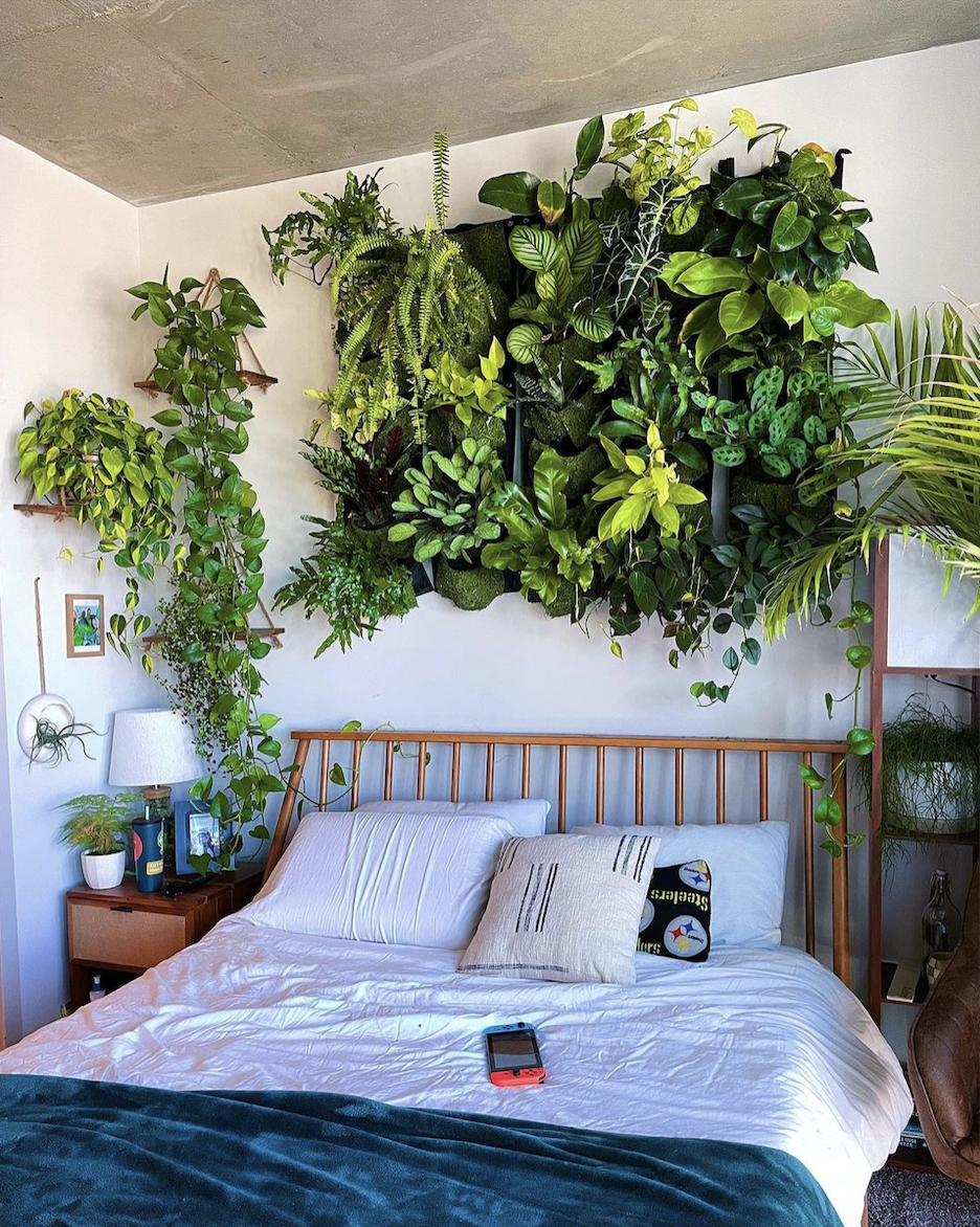 Plant Walls 101  Indoor plants delivery by Leaf Envy