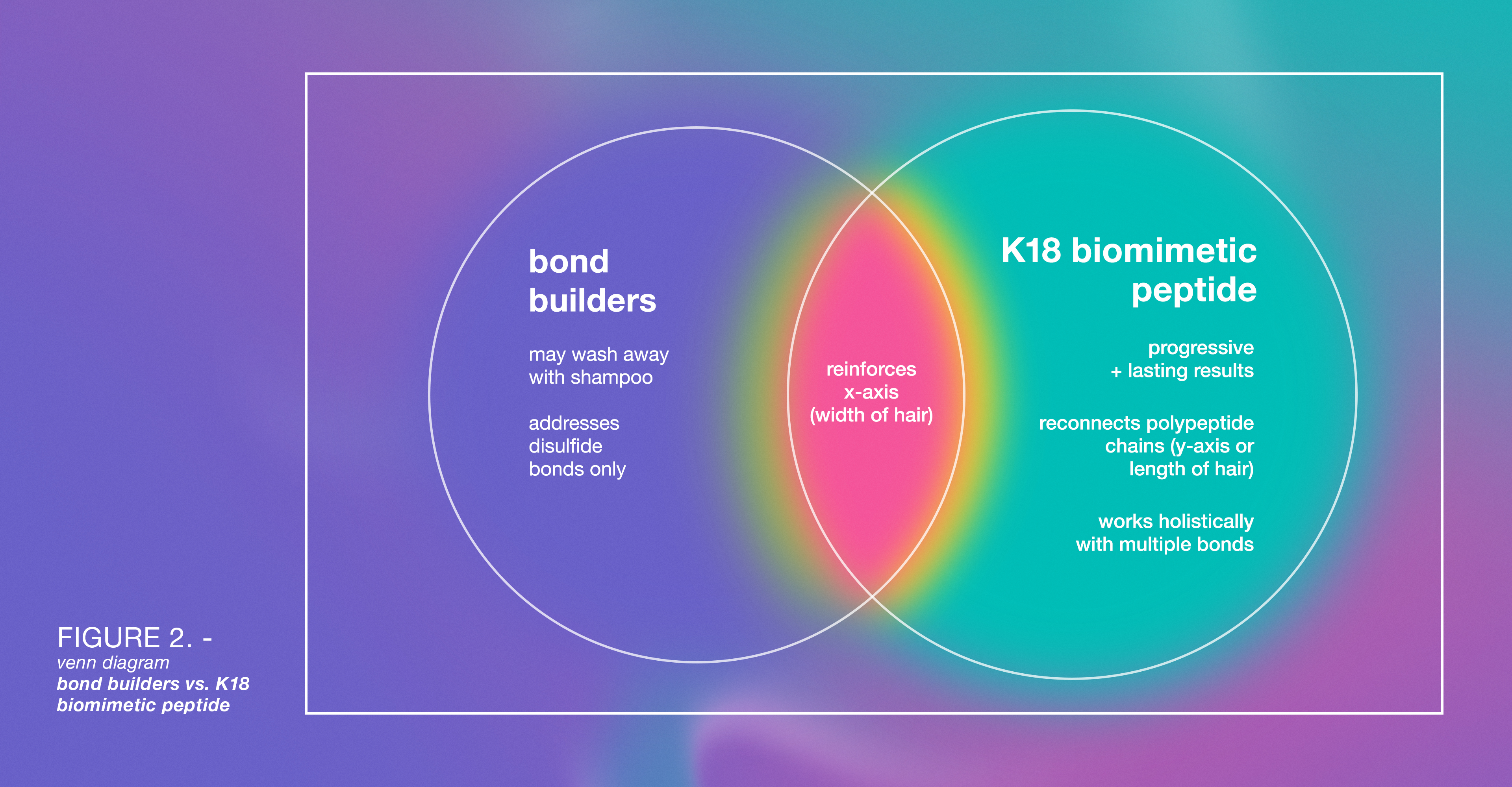Clase de Ciencias 07: Constructores de enlaces vs. ciencia biomimética del cabello