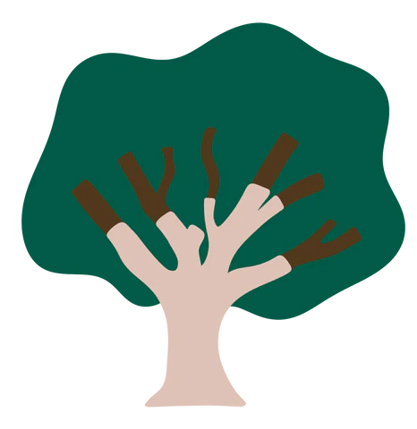 Cork tree illustration