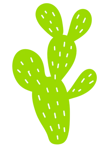 illustration of cactus plant used to make Fulton insoles