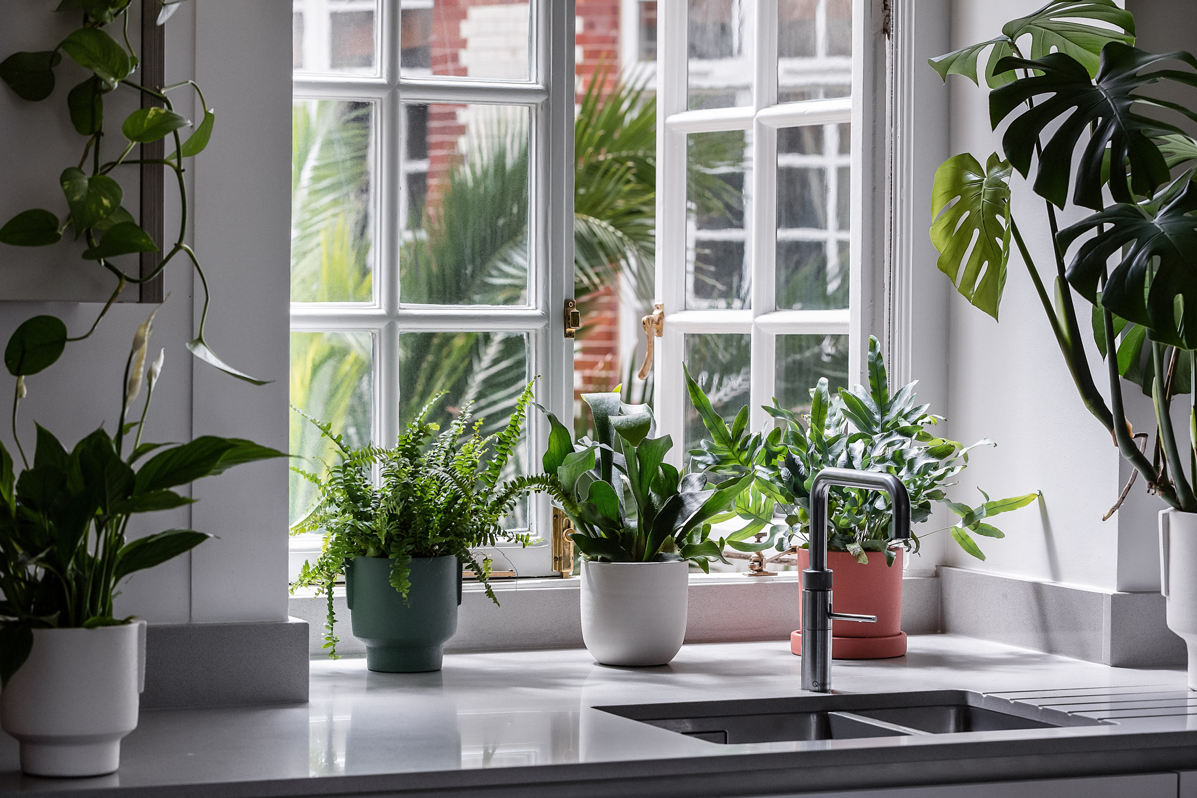 Best Plants by Room  Indoor Plant Delivery by Leaf Envy