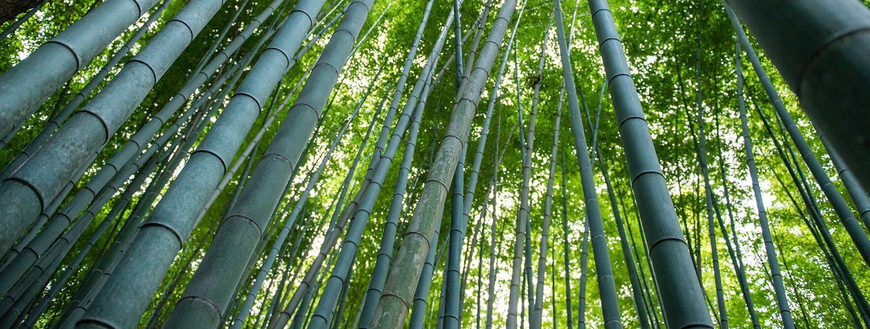 why bamboo fabric is better than polyester