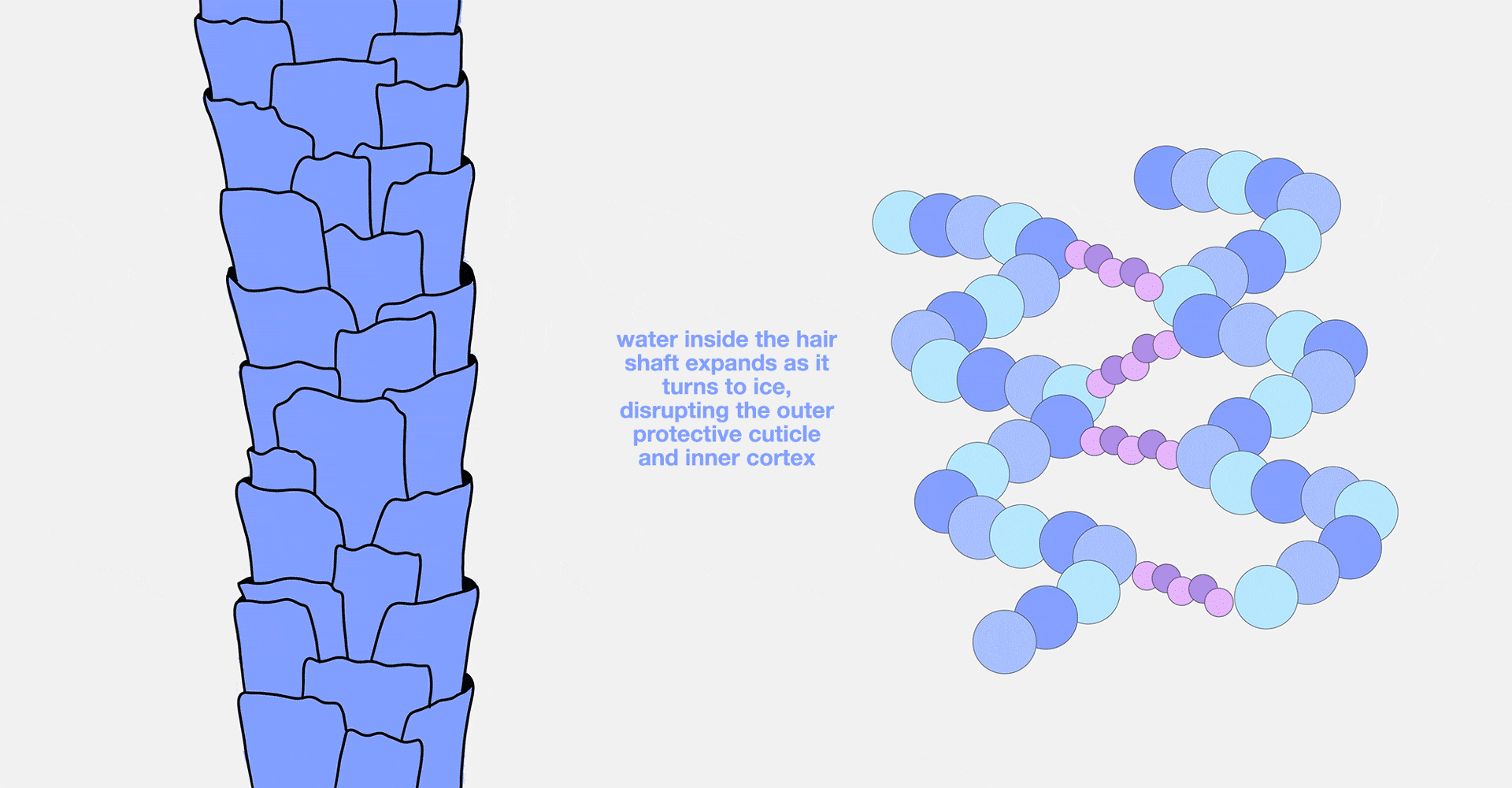 How to keep hair strong all winter long