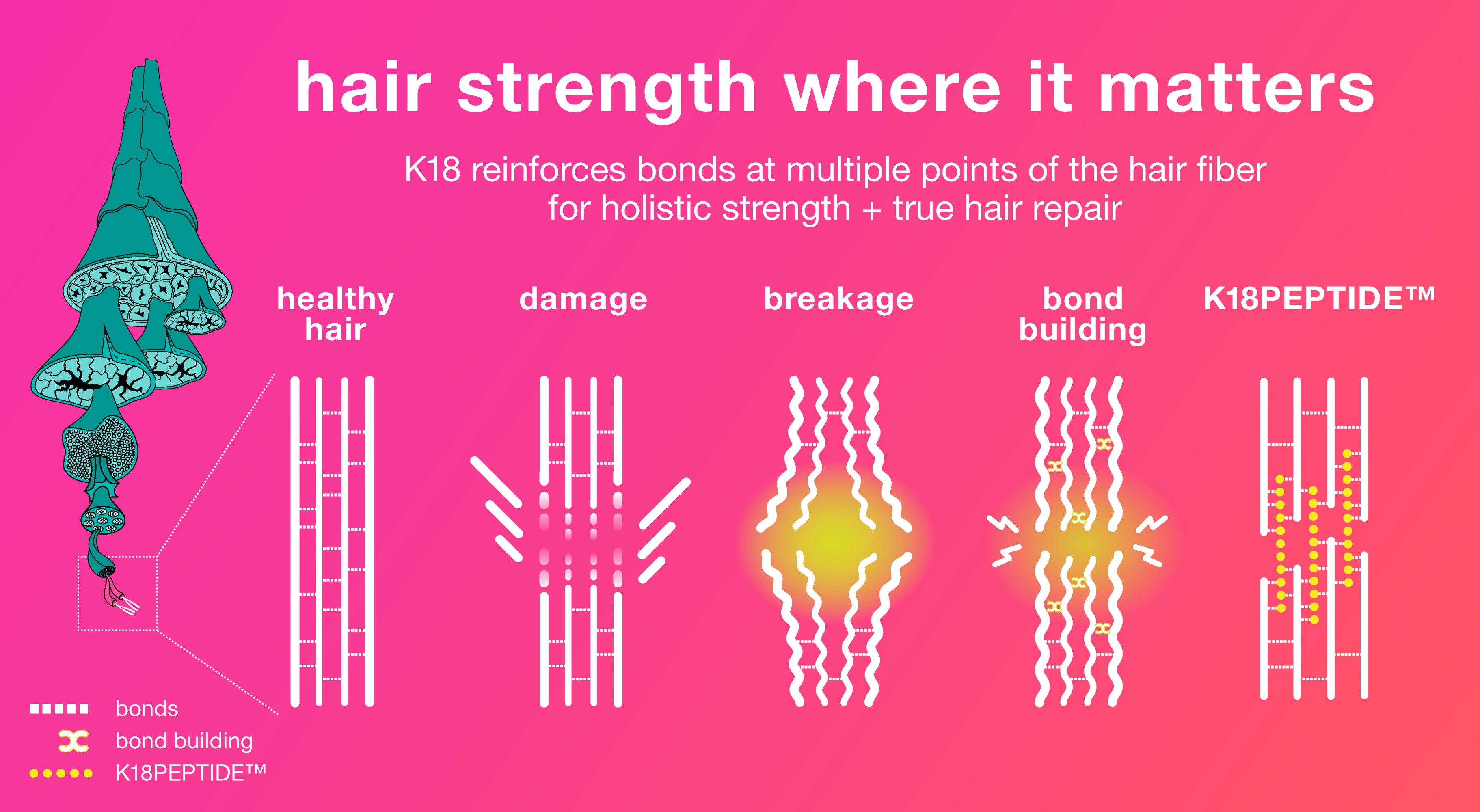 forget everything you know about haircare