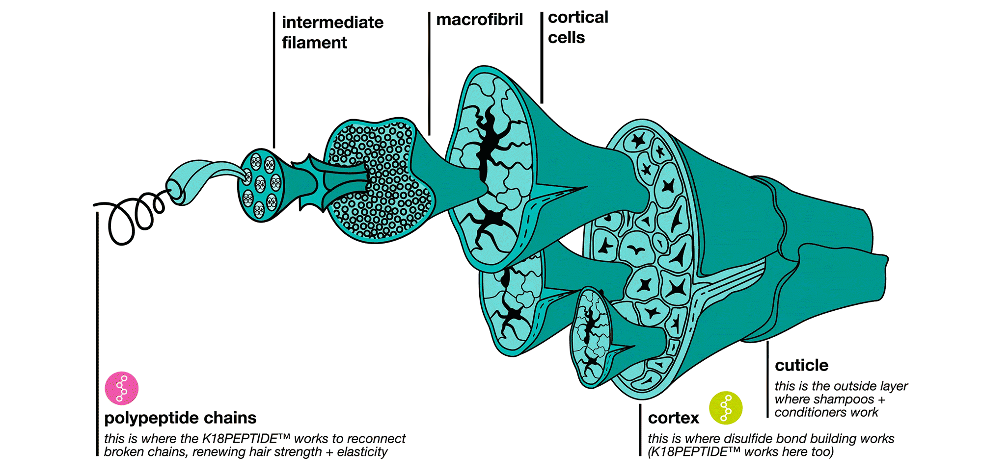 forget everything you know about haircare