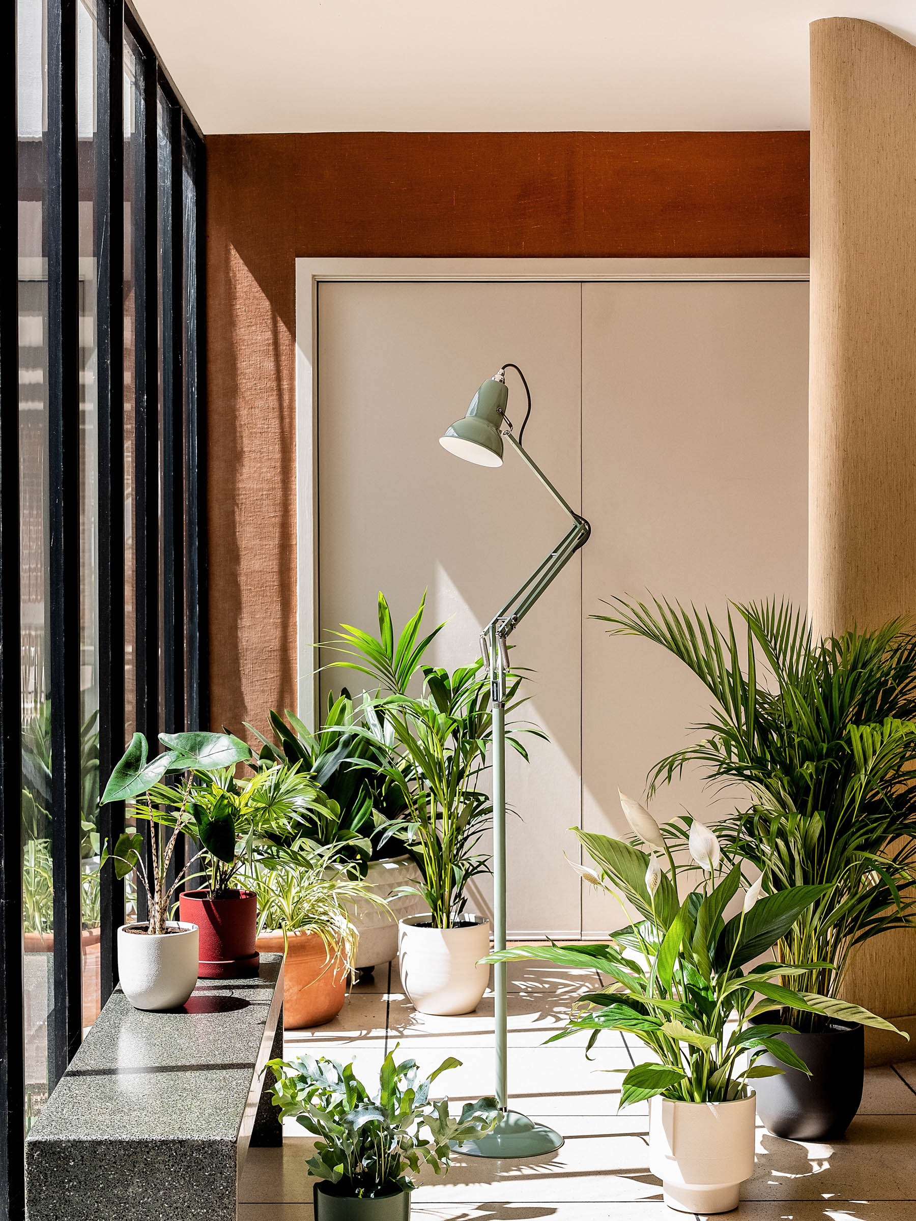 Why are houseplants good for you?