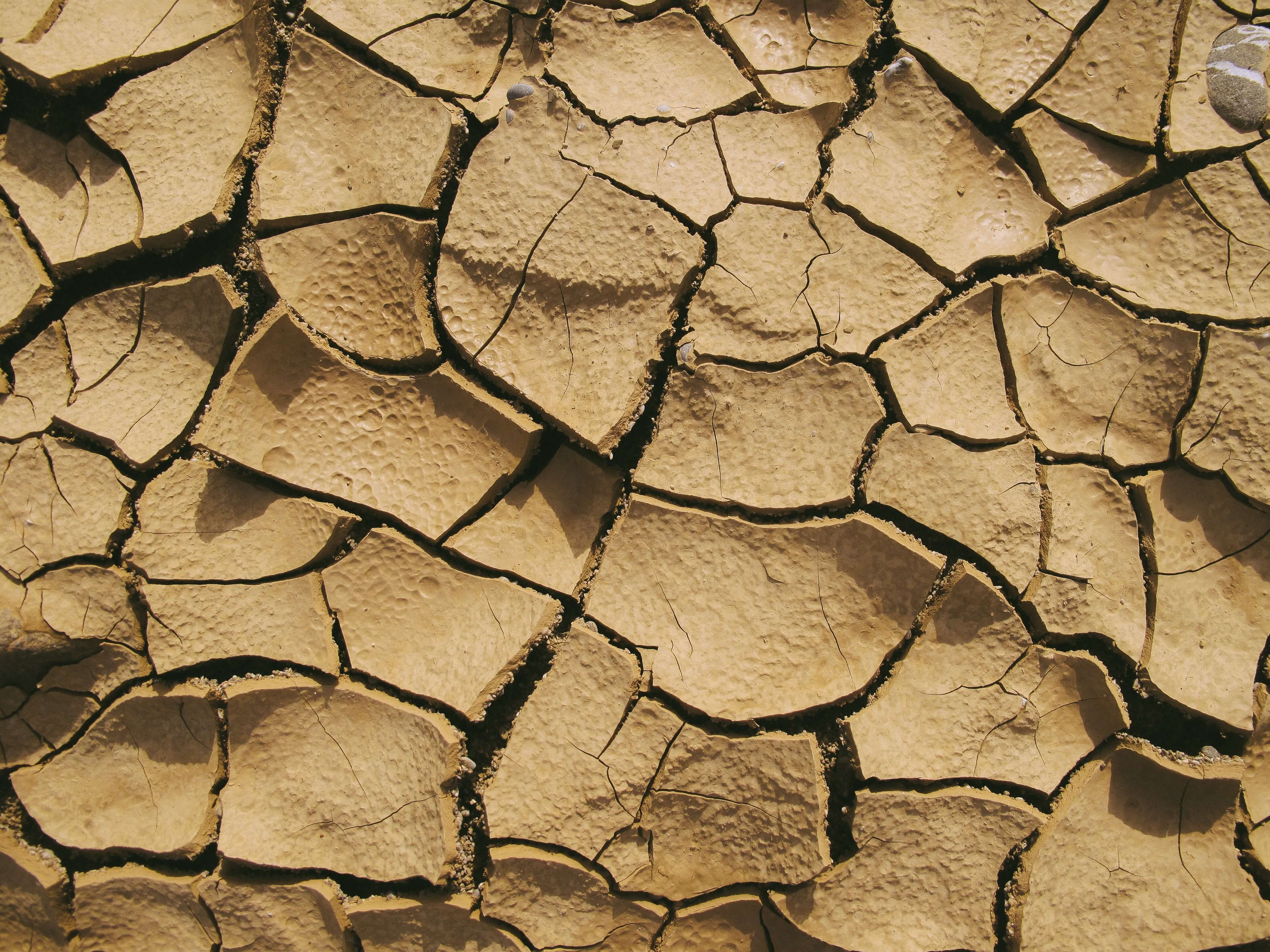 a large clay-coloured surface of dry and cracking soil.