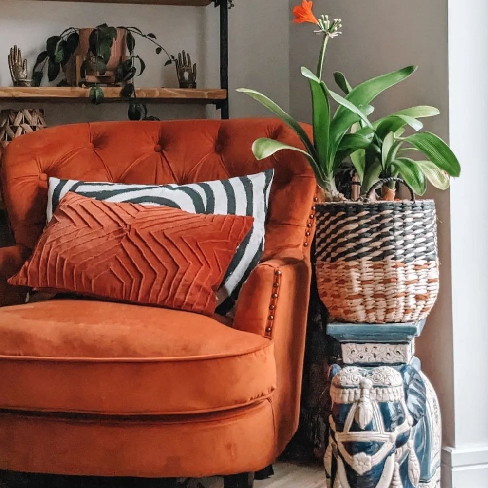 An orange armchair with an orange rectangular cushion and a black and white cushion on it. Beside it is a plant on a side table and behind it is a bookshelf with plants on it. 