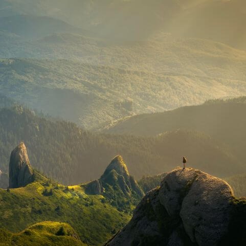 A biophilic nature scene of a man standing on a mountain edge overlooking an expansive forest valley.
