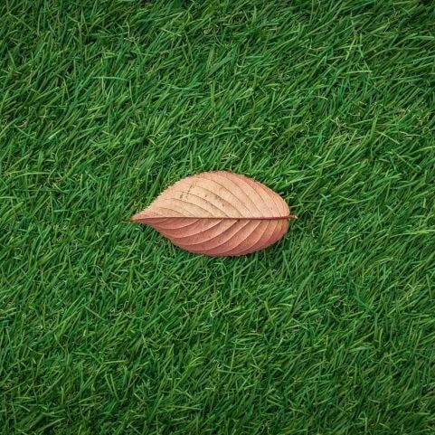 An aerial view of an outdoor grass surface with a single leaf brown resting on top.