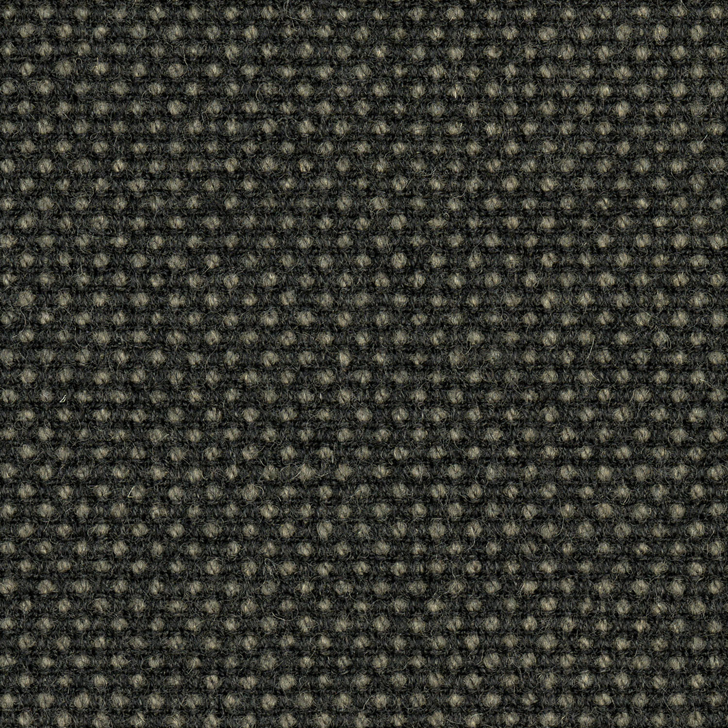 Fabric - Category 5