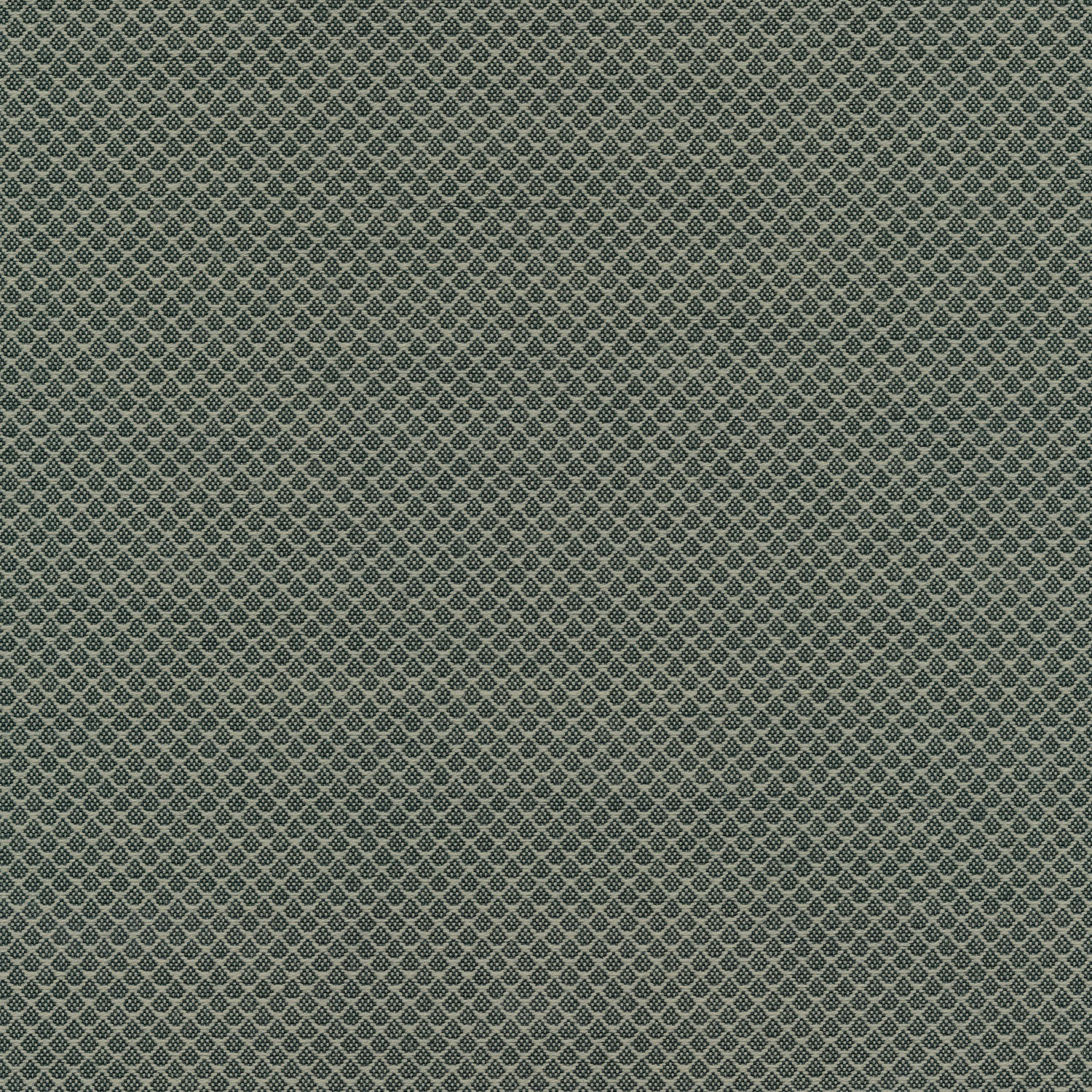 Fabric - Category 10
