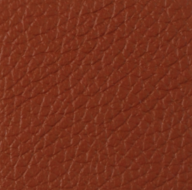Leather (POLO)