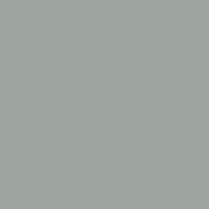 Grey Ring