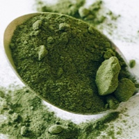 Moringa