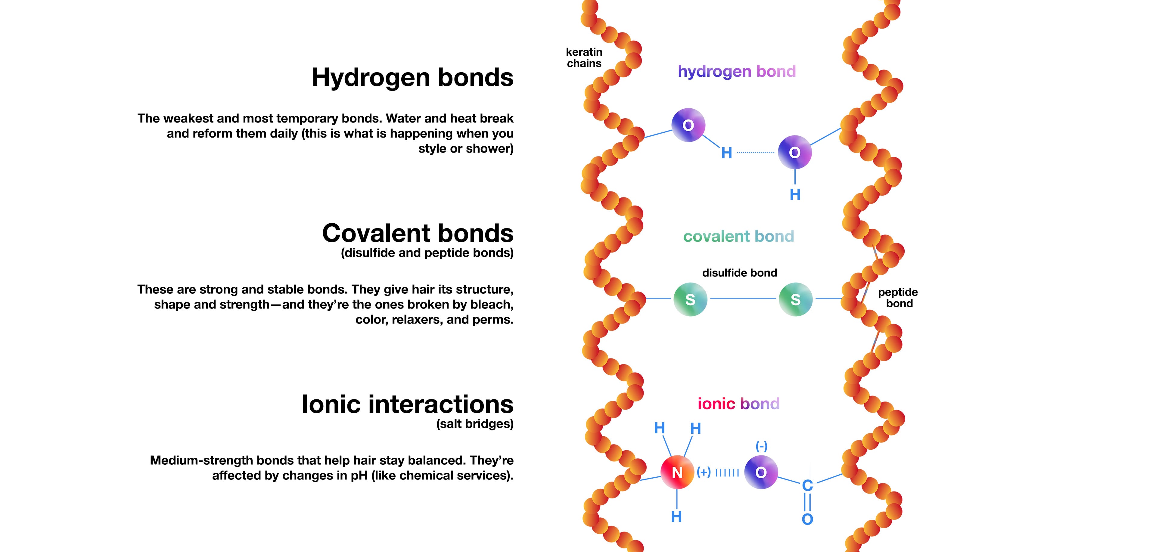 Wait, What's a Bond? And What Does Molecular Mean?