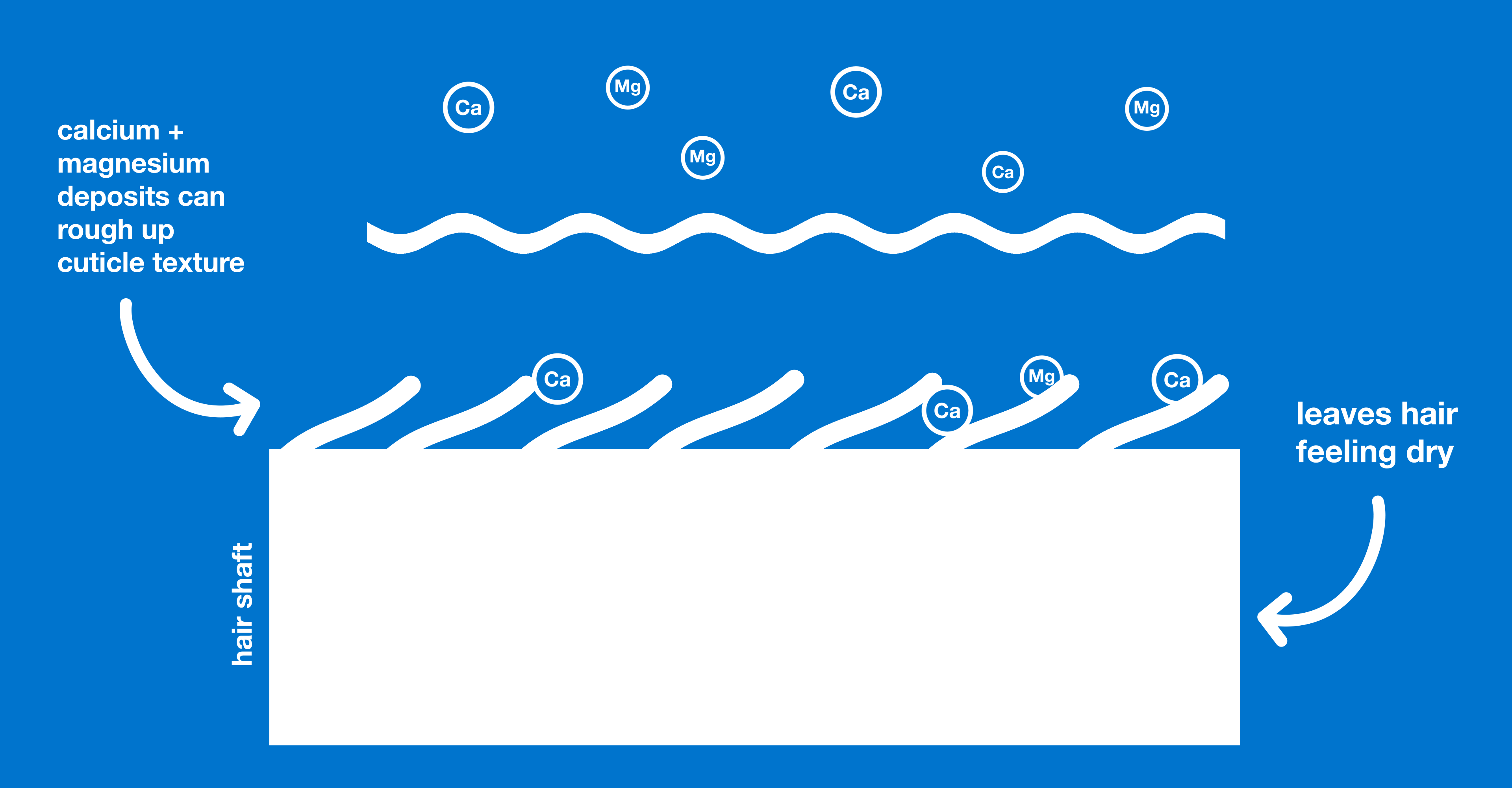 Science Class 11: Hard water