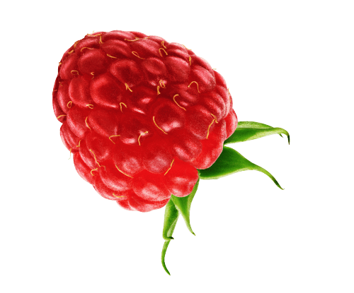 GO BIG ingredients raspberry